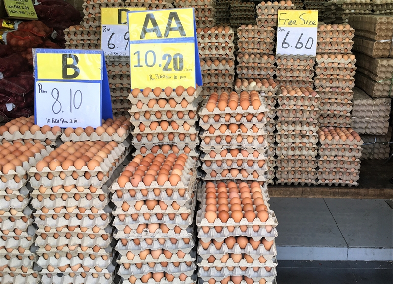 マレーシア　卵　価格